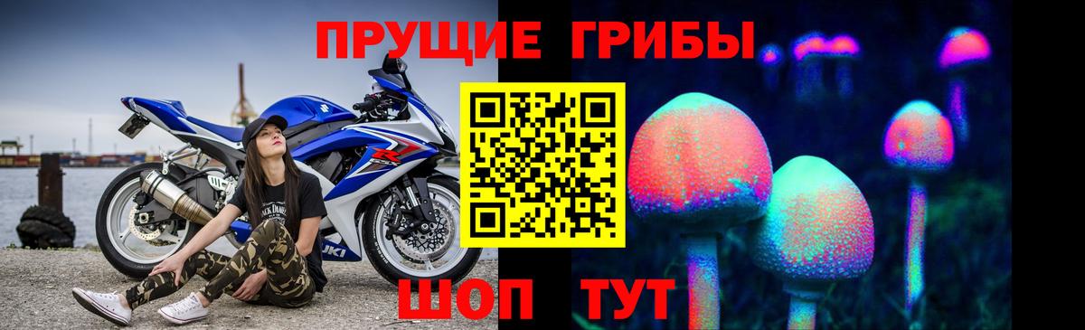 Заводоуковск  Галлюциногенные грибы прущие грибы  Вход с VPN 